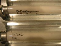 Middle bulbs Aquablue+ and Actinic +.jpg