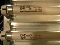 back bulbs Pure Actinic and Actinic +.jpg