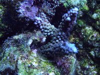 DSCF1761.JPG