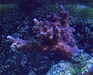 DSCF1764.JPG