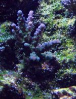 DSCF1766.JPG