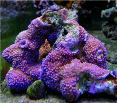 DSCN0409.JPG