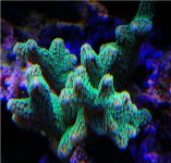 DSCN0411.JPG