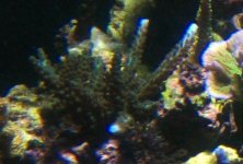 Image4.jpg