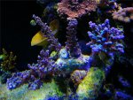 DSCN0455.JPG