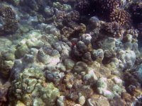 IMG_0003.jpg