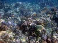 IMG_0005.jpg