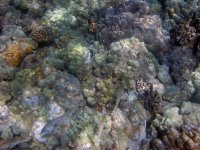 IMG_0007.jpg
