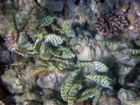IMG_0010.jpg