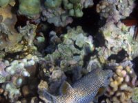 IMG_0016.jpg