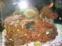 IMG_2624.jpg