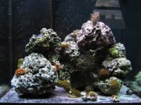 tank 6-10-2006 034 small.jpg