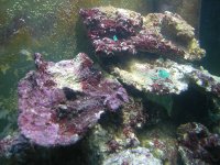 DSCN0515.jpg
