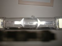 PB060211 (2).JPG