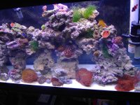 PICT1023.JPG