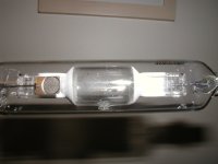 PB060212 (2).JPG