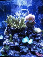 IMG_2642.jpg