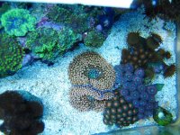 IMG_1824.JPG