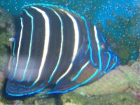 100_1096.jpg