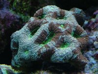 DSCF0920.jpg