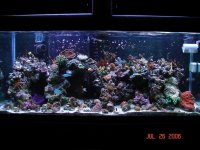7_DSC03449_edited_1[1].jpg