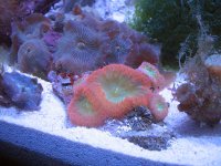 IMG_0519.JPG