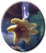 tweez201232.jpg
