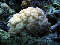 IMG_0056.JPG