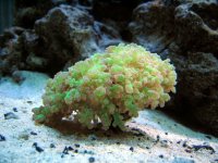 IMG_0057.JPG