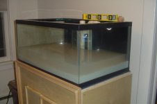 Picture 165.jpg