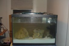 Picture 164.jpg