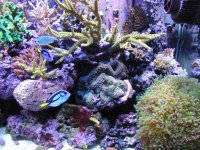 PB100208 (2).JPG
