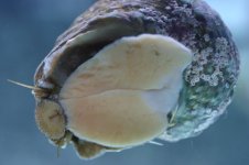 Jan 4th Shipment 001.jpg