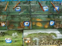 DSC00909.JPG