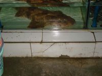 DSC00936.JPG