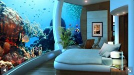 ImageUploadedByReefs1366295733.034725.jpg