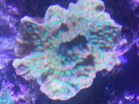 20130526_204927.jpg