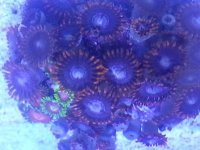 20130526_204824.jpg