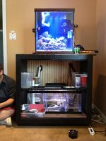 ImageUploadedByReefs1369669332.598113.jpg