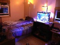 ImageUploadedByReefs1369669353.815696.jpg