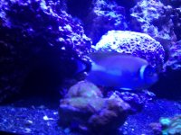 2012-09-18 21.50.49.jpg