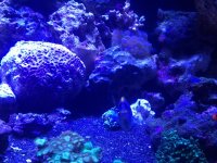 2012-09-18 21.50.51.jpg
