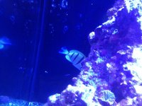 2012-09-18 21.52.00.jpg