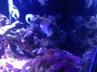 2012-09-20 20.27.11.jpg
