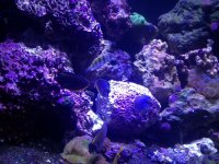 2012-09-20 20.27.17.jpg