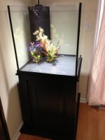 ImageUploadedByReefs1364233044.752884.jpg