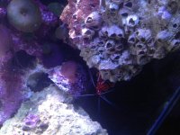 2012-09-20 20.27.36.jpg