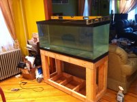 ImageUploadedByReefs1366378934.280262.jpg