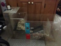 ImageUploadedByReefs1364235224.562260.jpg