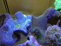 IMG_0802.jpg